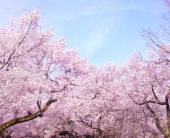 入学準備はいつから?各種詳細とカレンダー