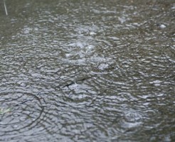 雨水タンクの助成金対象例と目的について
