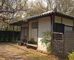 松花堂弁当の盛り付けの正解と松花堂弁当