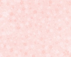 清雲寺のしだれ桜を堪能する前に知りたい事