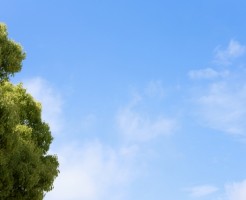 藤原まつりの歴代著名人といなべ市との違い
