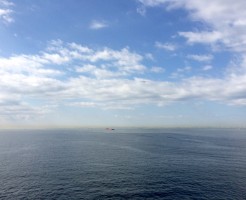 木更津周辺の潮干狩りの時期と常連さんのコツ