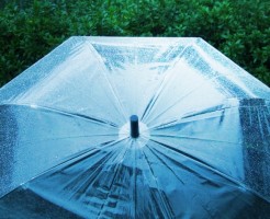 ビニール傘の捨て方で確実に失敗しない方法