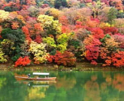 京都の紅葉の名所42選と見逃せない時期