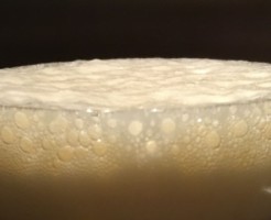 オクトーバーフェスト横浜の値段の謎と最高の2杯