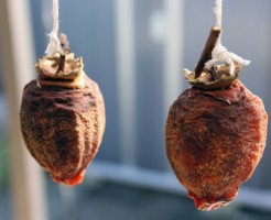 干し柿の作り方と白い粉の正体、カビとの見分け方
