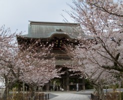 けんちん汁とは?作り方の基本と失敗しない秘訣