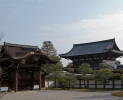 仁和寺の紅葉ライトアップと見ごろ、混雑状況
