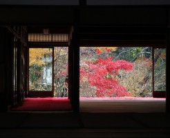 南禅寺の紅葉ライトアップの見ごろと注意点