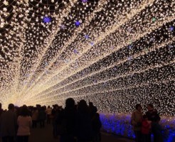 なばなの里イルミネーションの点灯時間と料金