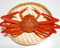 セコガニとは?解禁と旬に関する知識と注意点