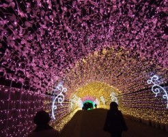 相模湖イルミネーションの時間と混雑に関して