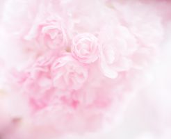 卒業式のスーツでお母さん周囲に尊敬される色と絶対的王道