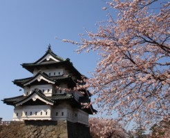 弘前城の桜祭りに行く前に知りたい事