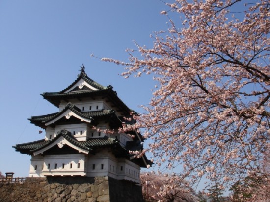 弘前城の桜祭りに行く前に知りたい事