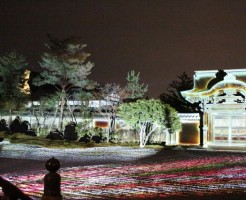 高台寺の紅葉ライトアップの見ごろと時間の注意