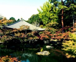 醍醐寺の紅葉の時期と混雑情報、駐車場の注意点